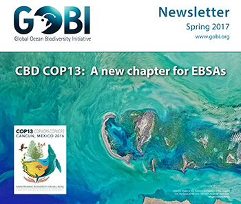 Spring issue of the GOBI newsletter now out
